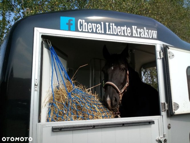 Cheval Liberte Touring Limited edition